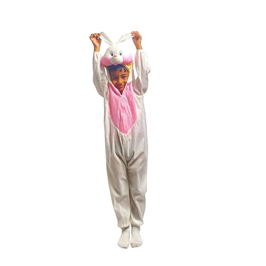Rabbit Fancy Dress