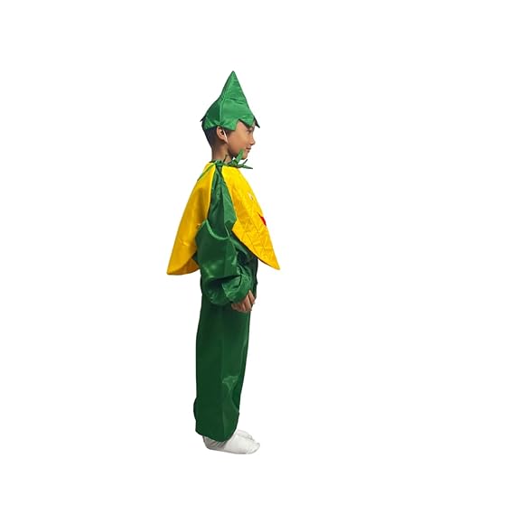 Pineapple Fancy Dress (Without Jumpsuit)