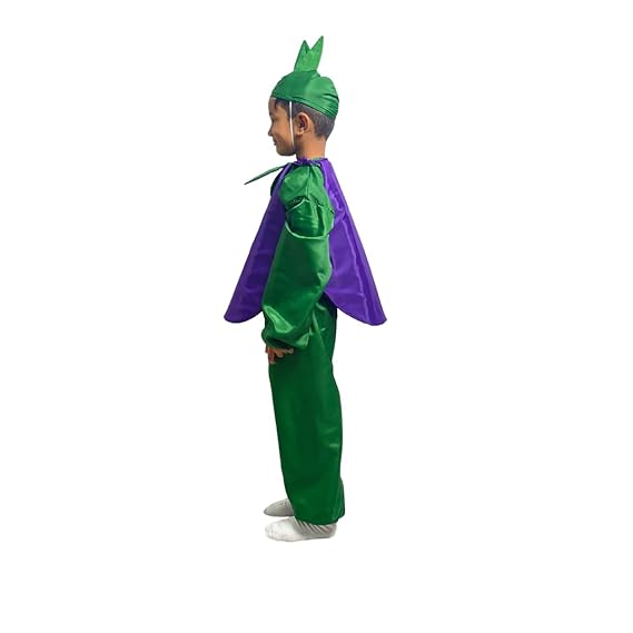 Brinjal Fancy Dress (Without Jumpsuit)