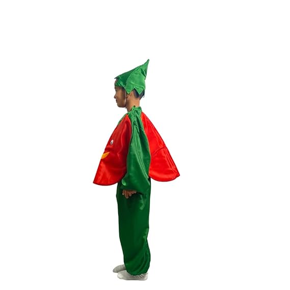 Tomato Fancy Dress (Without Jumpsuit)