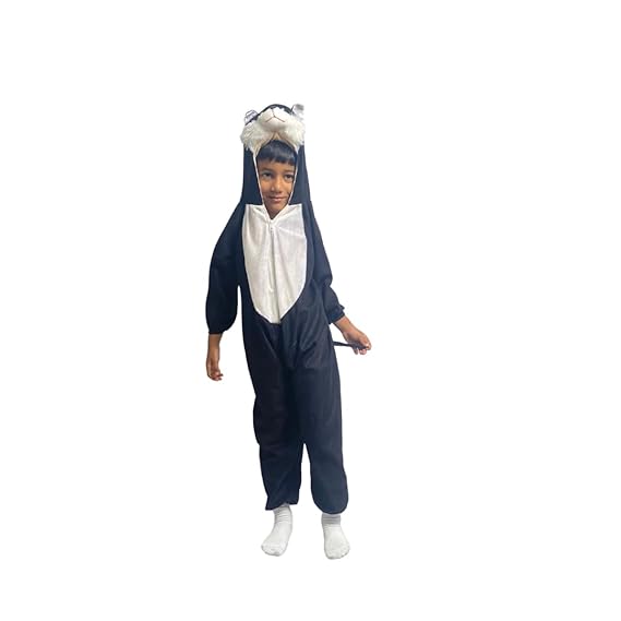 Cat Fancy Dress