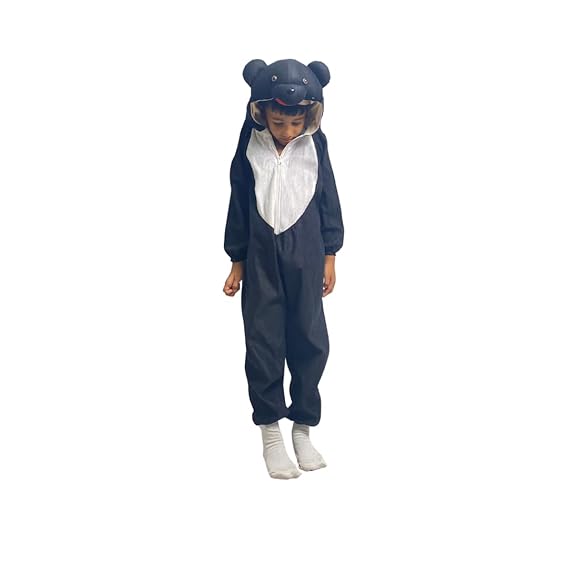 Bear Fancy Dress