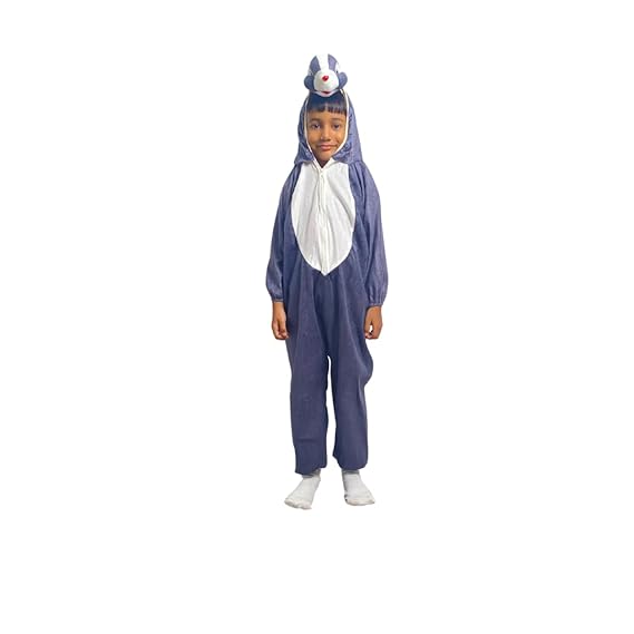 Squirrale (Dark Grey) Fancy Dress