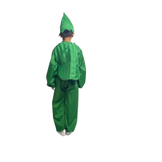 Watermelon Fancy Dress (Without Jumpsuit)