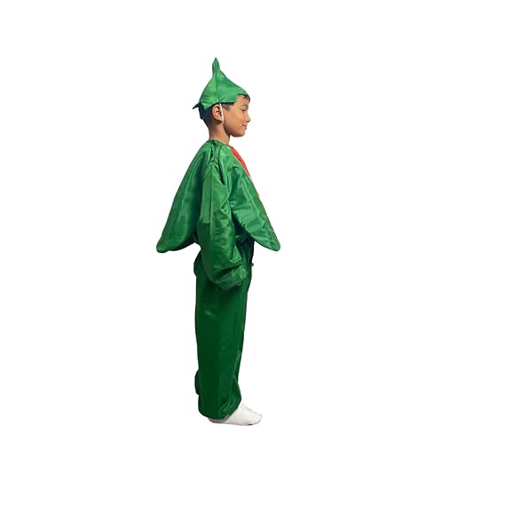 Watermelon Fancy Dress (Without Jumpsuit)