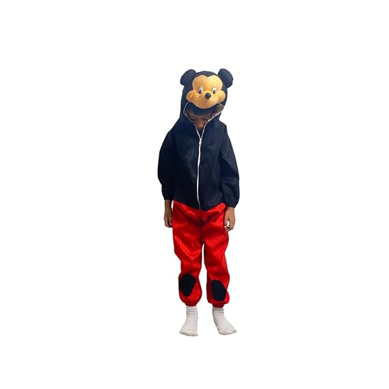 Mickey Mouse Fancy Dress