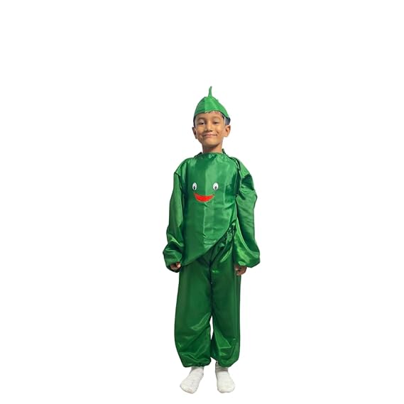 Green Chilli Fancy Dress (Without Jumpsuit)