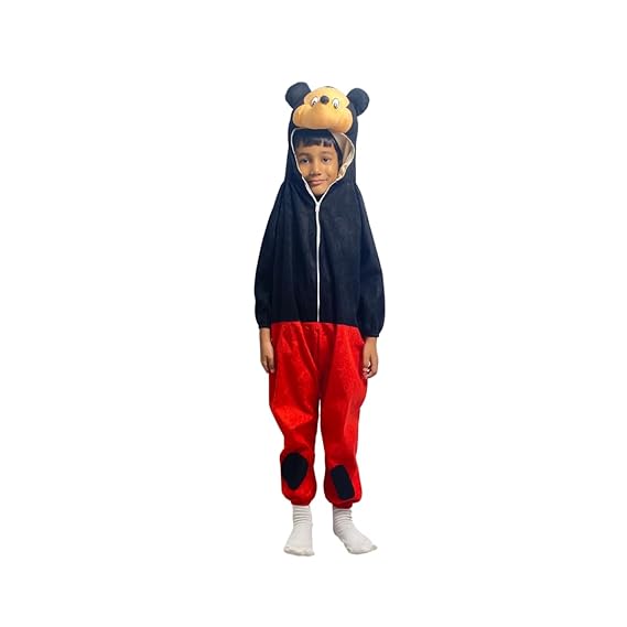 Mickey Mouse Fancy Dress