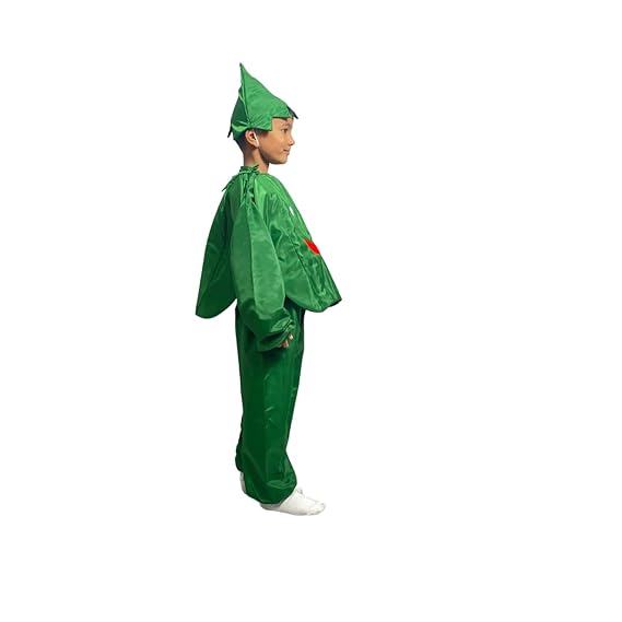 Capsicum Fancy Dress (Without Jumpsuit)