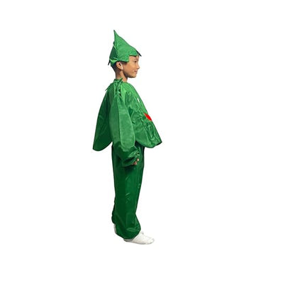 Capsicum Fancy Dress (Without Jumpsuit)