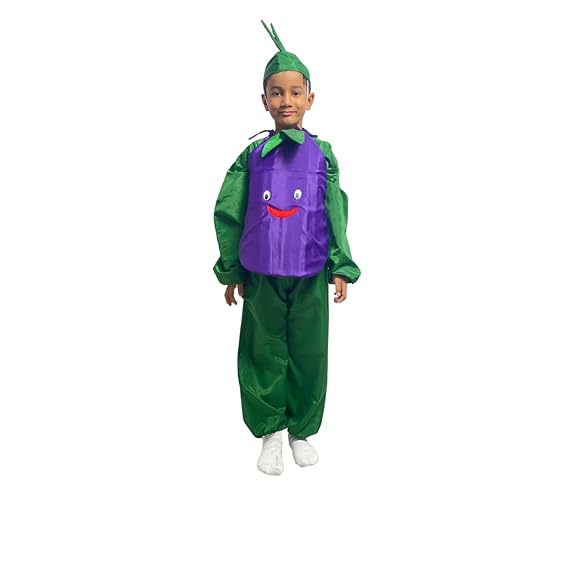 Brinjal Fancy Dress (Without Jumpsuit)