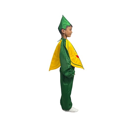 Pumpkin Fancy Dress (Without Jumpsuit)