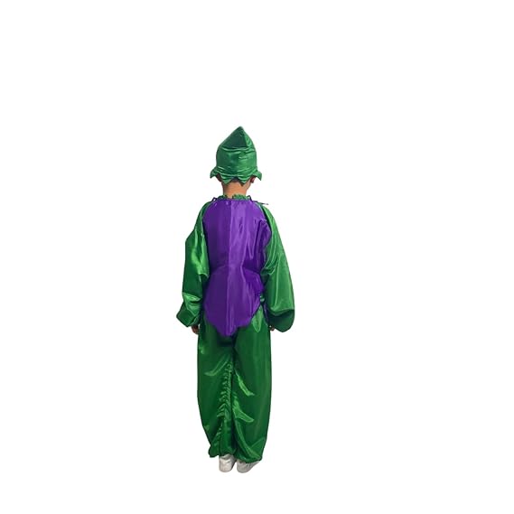 Purple Grapes Fancy Dress (Without Jumpsuit)