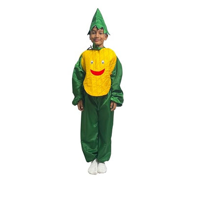 Pineapple Fancy Dress (Without Jumpsuit)