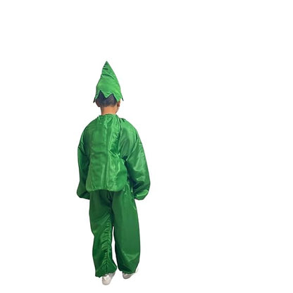 Capsicum Fancy Dress (Without Jumpsuit)