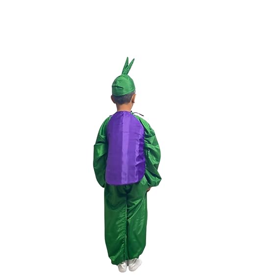 Brinjal Fancy Dress (Without Jumpsuit)