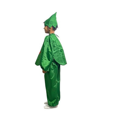 Capsicum Fancy Dress (Without Jumpsuit)