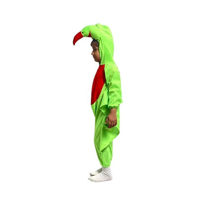 Parrot Fancy Dress