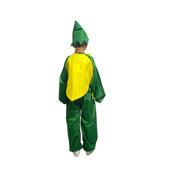 Lemon Fancy Dress (Without Jumpsuit)