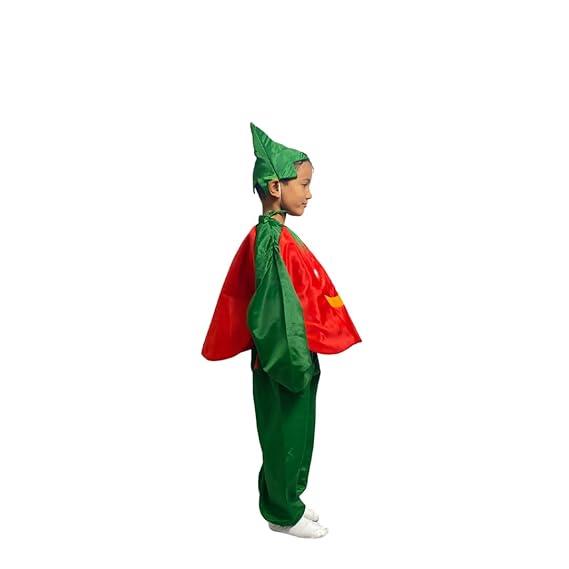 Tomato Fancy Dress (Without Jumpsuit)