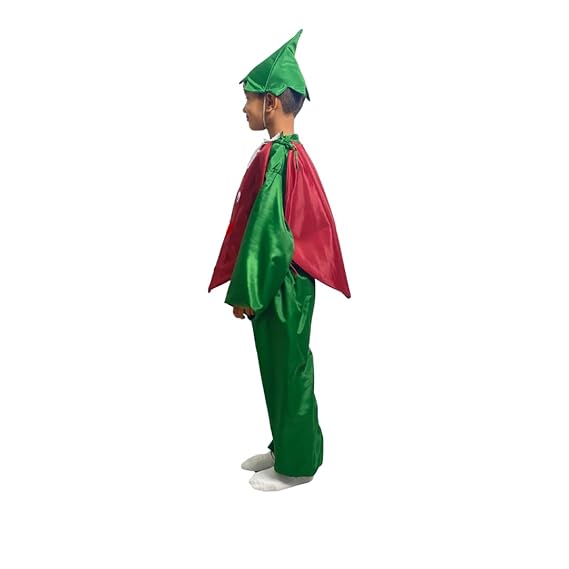 Onion Fancy Dress (Without Jumpsuit)