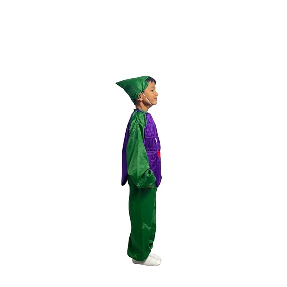 Purple Grapes Fancy Dress (Without Jumpsuit)