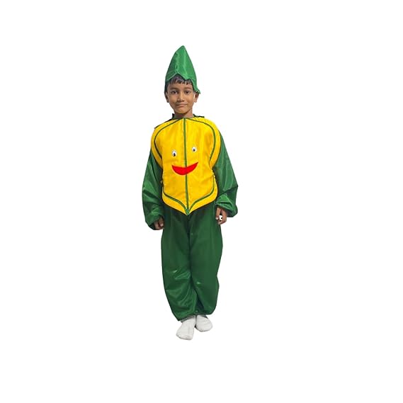 Pumpkin Fancy Dress (Without Jumpsuit)