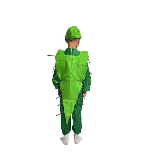 Catterpillar Fancy Dress (Without Jumpsuit)