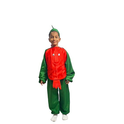 Pomogranates Fancy Dress (Without Jumpsuit)