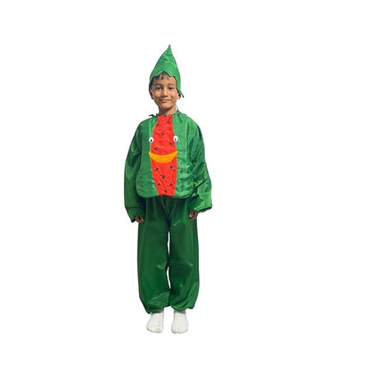 Watermelon Fancy Dress (Without Jumpsuit)