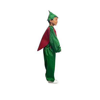 Onion Fancy Dress (Without Jumpsuit)