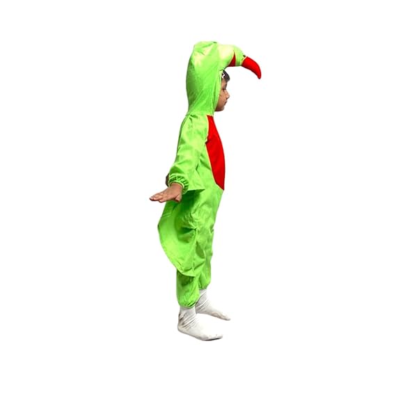 Parrot Fancy Dress