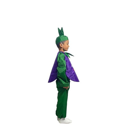 Brinjal Fancy Dress (Without Jumpsuit)