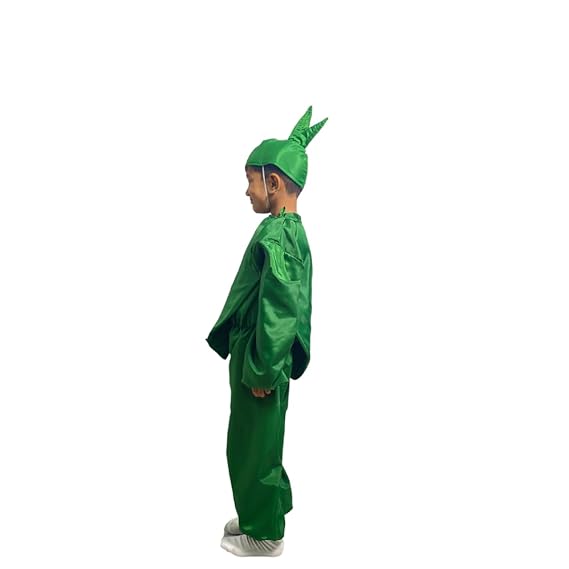 Green Chilli Fancy Dress (Without Jumpsuit)