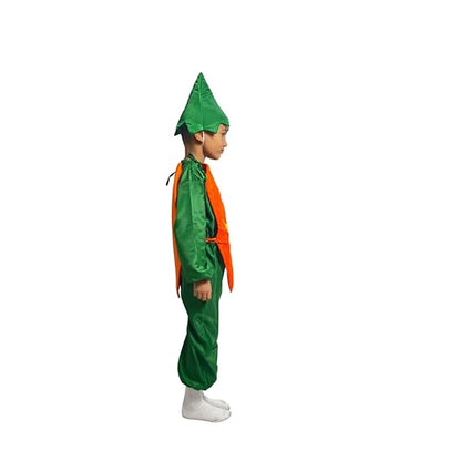 Carrot Fancy Dress (Without Jumpsuit)