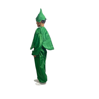 Watermelon Fancy Dress (Without Jumpsuit)