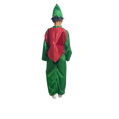 Onion Fancy Dress (Without Jumpsuit)