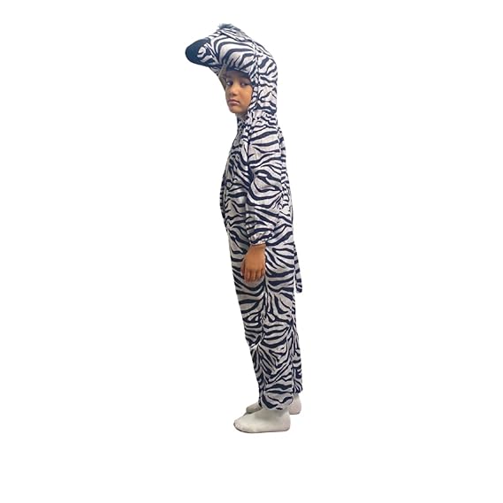 Zebra Fancy Dress