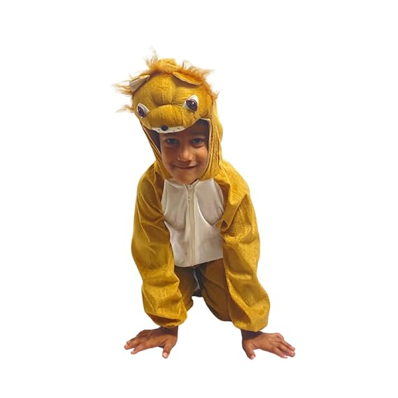 Lion (Big Eye) Fancy Dress