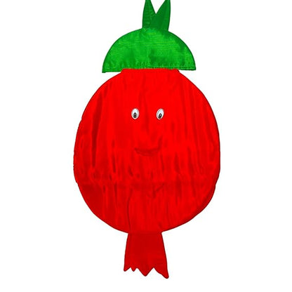 Pomogranates Fancy Dress (Without Jumpsuit)
