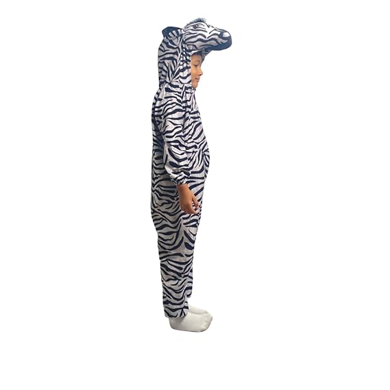 Zebra Fancy Dress