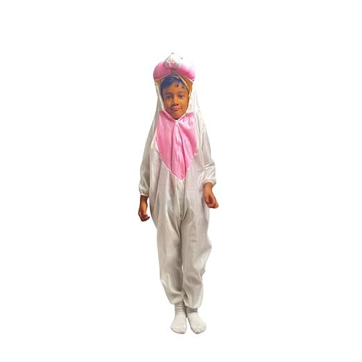 Rabbit Fancy Dress